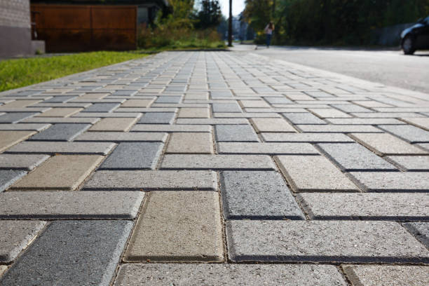 Best Commercial Driveway Pavers  in Panora, IA